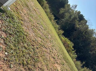 Deirdra C.'s grass cutting service result