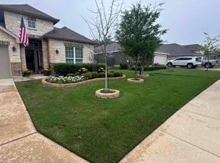 Amy C.'s turf care service result
