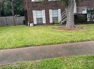 Tito E.'s grass maintenance service result