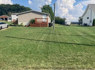Linda C.'s grass cutting service result