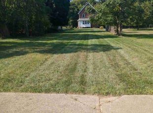 Allan A.'s lawn service service result