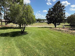 Bridget C.'s lawn care service result