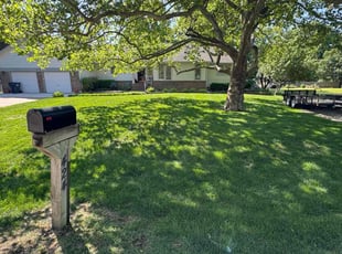 Frances B.'s lawn service service result