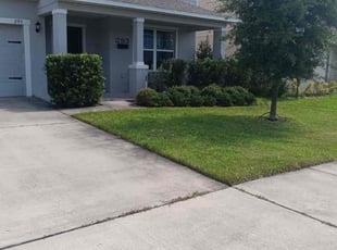 Linda C.'s turf care service result