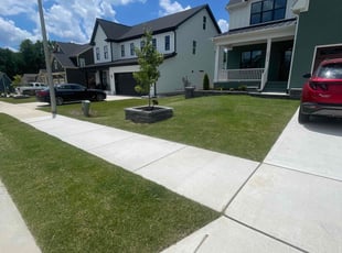 Deborah S.'s lawn service service result