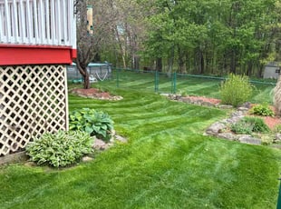 Paula S.'s lawn care service result