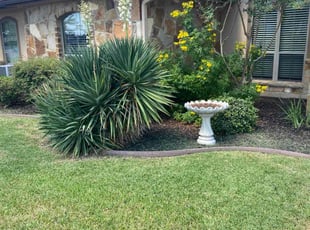 Kate B.'s grass cutting service result