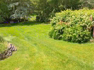 Marianne &amp;.'s grass cutting service result