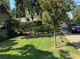 Andrew F.'s Bush Trimming service result