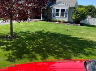 Dwight A.'s lawn service service result