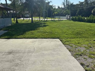 David C.'s grass maintenance service result