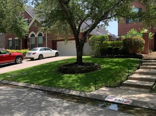 Chad H.'s grass maintenance service result