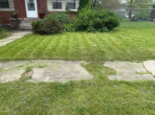 Juliana K.'s turf maintenance service result