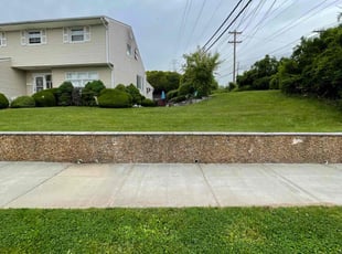 Thi N.'s turf care service result