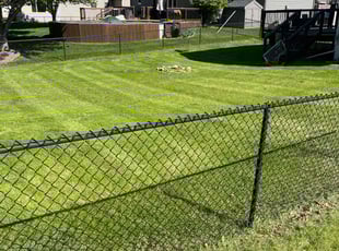 Ricky H.'s grass cutting service result