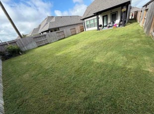 Anne S.'s lawn maintenance service result
