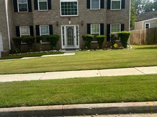 Tahir F.'s turf care service result