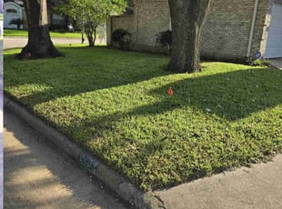 Atousa G.'s lawn care service result