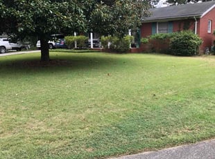 Guerla L.'s lawn care services service result