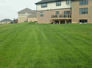 Jessica S.'s lawn care service result