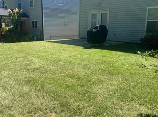 Sandra B.'s turf care service result