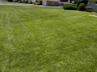 Brandon V.'s lawn maintenance service result