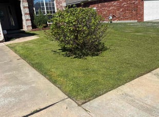 Lesley K.'s grass cutting service result