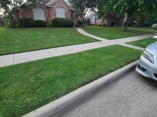 Emily B.'s lawn care services service result