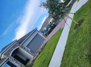 Sondra B.'s lawn service service result