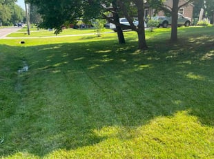 Pablo M.'s grass maintenance service result
