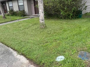 Johnny M.'s grass cutting service result