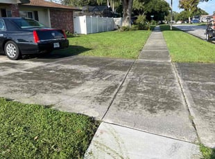 Brock M.'s grass cutting service result