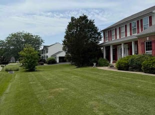 Bryan L.'s lawn service service result