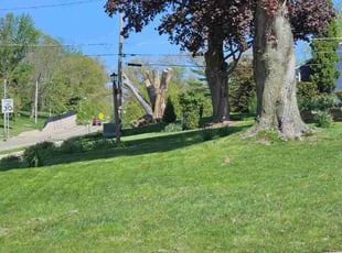 Linda J.'s lawn maintenance service result