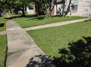 Azita A.'s turf care service result