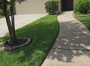 Joshua G.'s grass maintenance service result