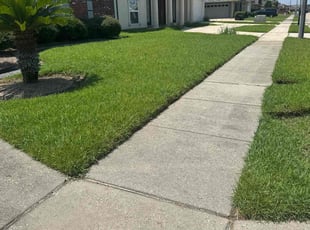 Sandra G.'s lawn service service result