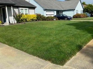 Robert S.'s turf maintenance service result