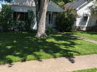 Tom K.'s grass cutting service result