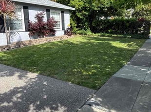 Emilie G.'s lawn care services service result