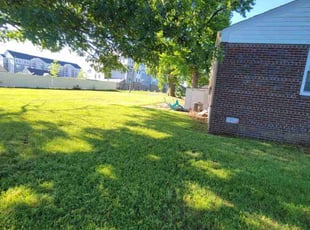 Tenia G.'s turf maintenance service result