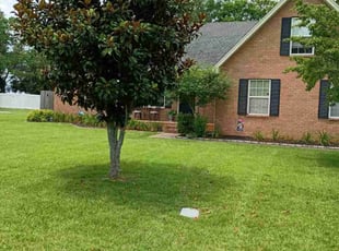 Julie K.'s grass cutting service result