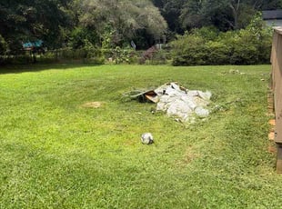 Bruce P.'s lawn care service result