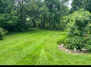Dawn S.'s landscaping services service result