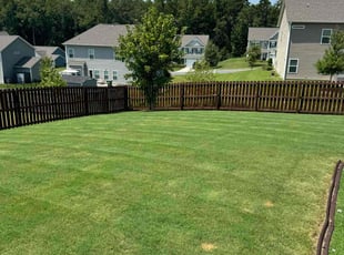 Sue H.'s lawn care service result