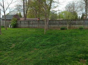 Ethan M.'s lawn maintenance service result