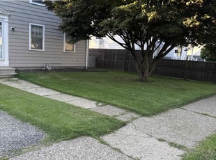 Ashley M.'s lawn service service result
