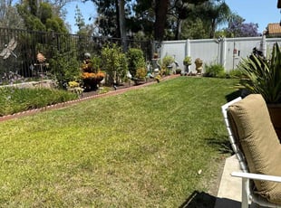 Abdullah Q.'s grass maintenance service result