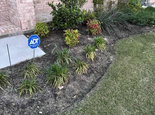 Shannon W.'s Cleanups service result
