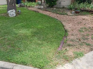 Melina B.'s grass cutting service result